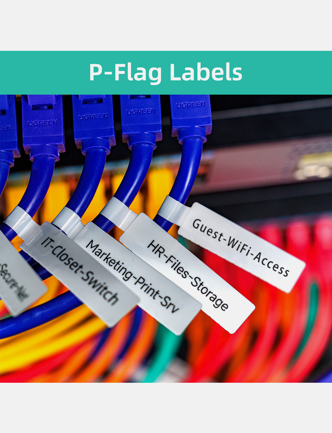 D50 cable name tags